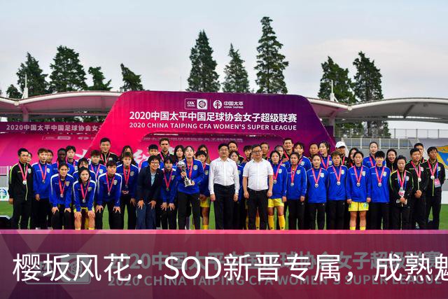 樱坂风花：SOD新晋专属，成熟魅力的优雅御姐